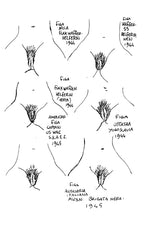 Volume Waiting Short