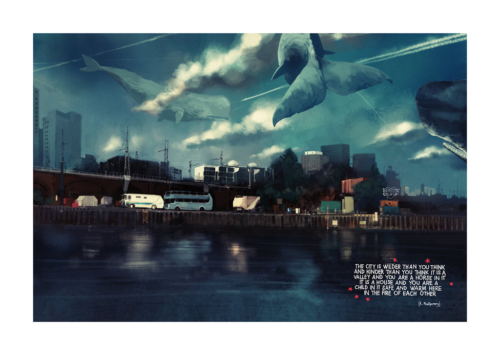 Miorelli Portfolio Portfolio Alle der Walle