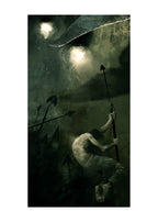 Miorelli Portfolio Portfolio Alle der Walle