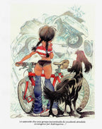 Portfolio Innocence and Malice 