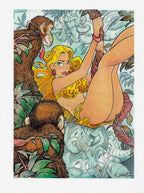 Portfolio Stars and Little Stars PA