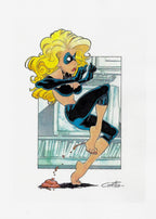 Portfolio Stars and Little Stars PA