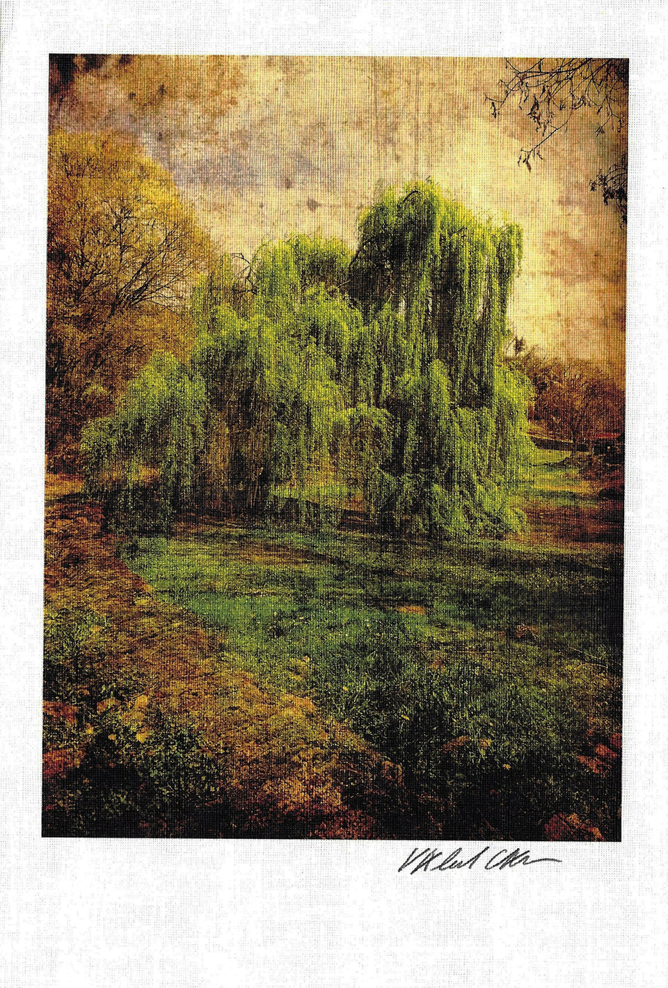 Giovanna Casotto - Valentina Carrera Volume Simbiosi  CON ACQUARELLO ORIGINALE 2