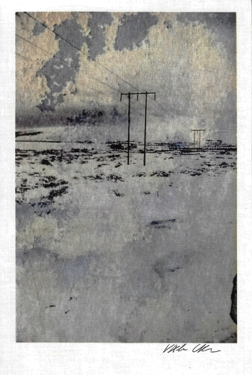 Giovanna Casotto - Valentina Carrera Volume Simbiosi  CON ACQUARELLO ORIGINALE 6