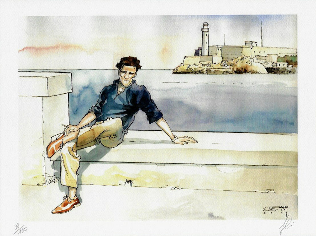 Portfolio  Nero Maccanti