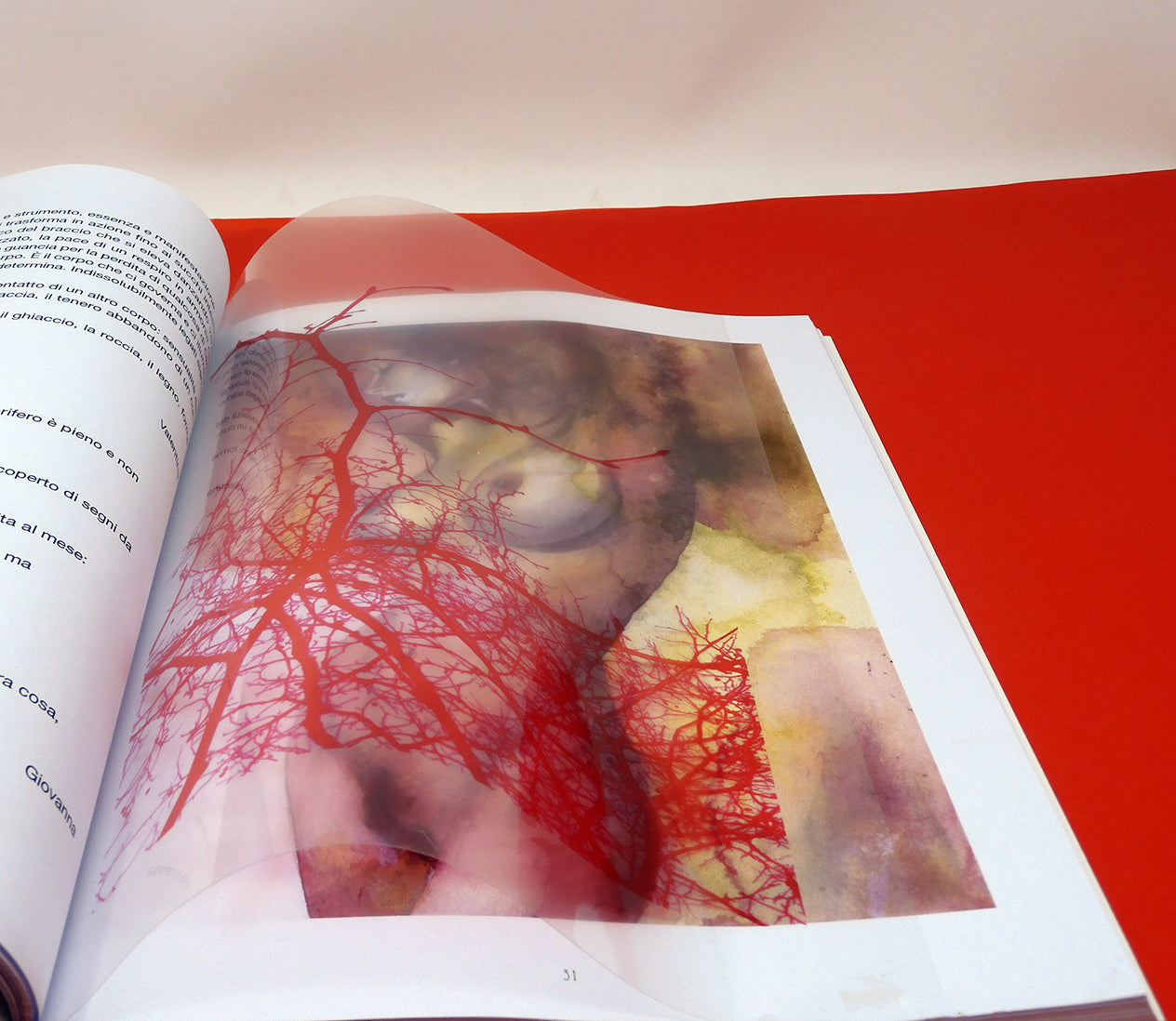 Giovanna Casotto - Valentina Carrera Volume Simbiosi