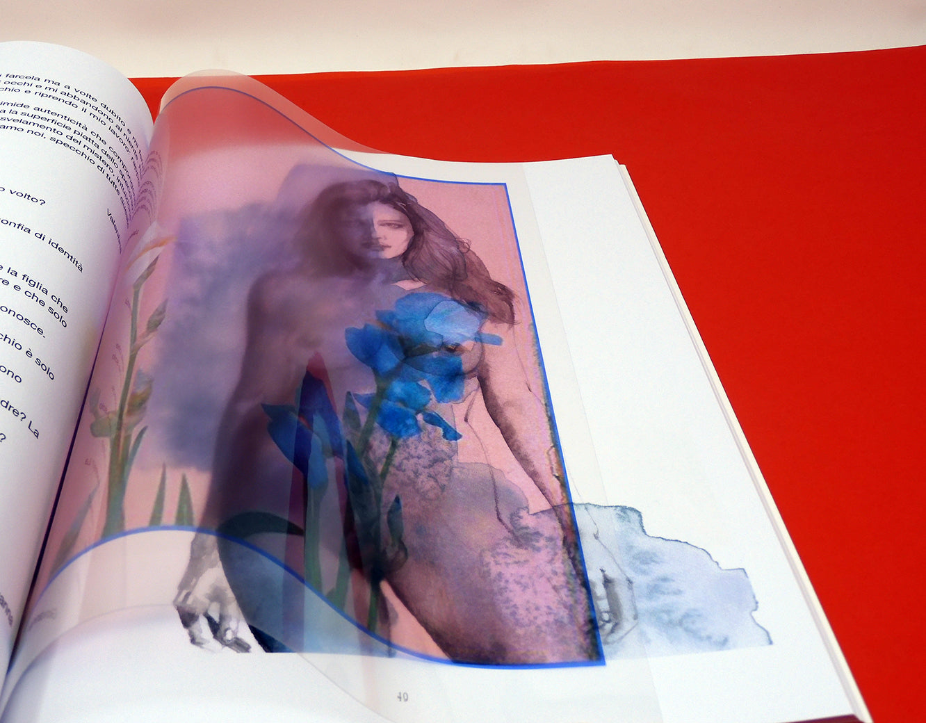 Giovanna Casotto - Valentina Carrera Volume Simbiosi