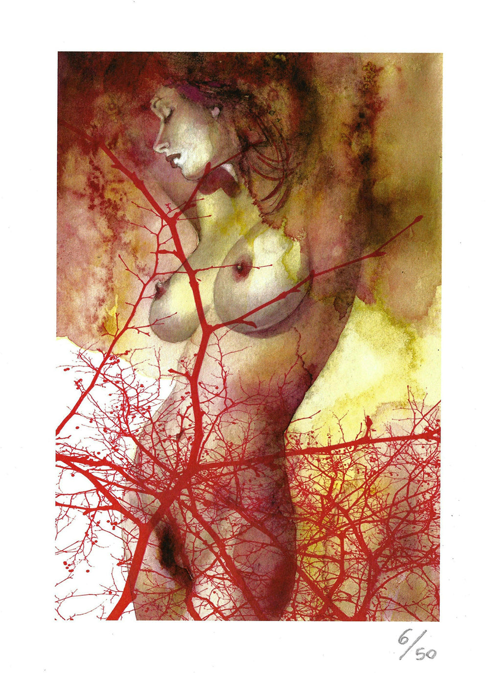 Giovanna Casotto - Valentina Carrera Volume Simbiosi Limited