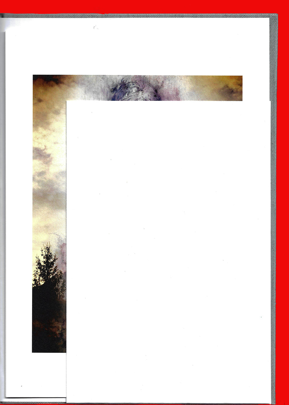 Giovanna Casotto - Valentina Carrera Volume Simbiosi  CON ACQUARELLO ORIGINALE 6