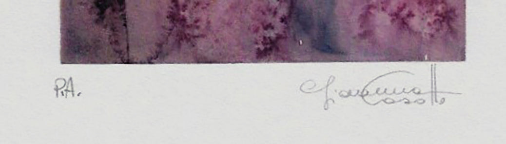 Stampa Firmata Casotto Acquarelle 2 - 1