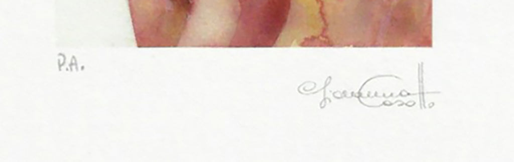 Stampa Firmata Casotto Acquarelle 2 - 2