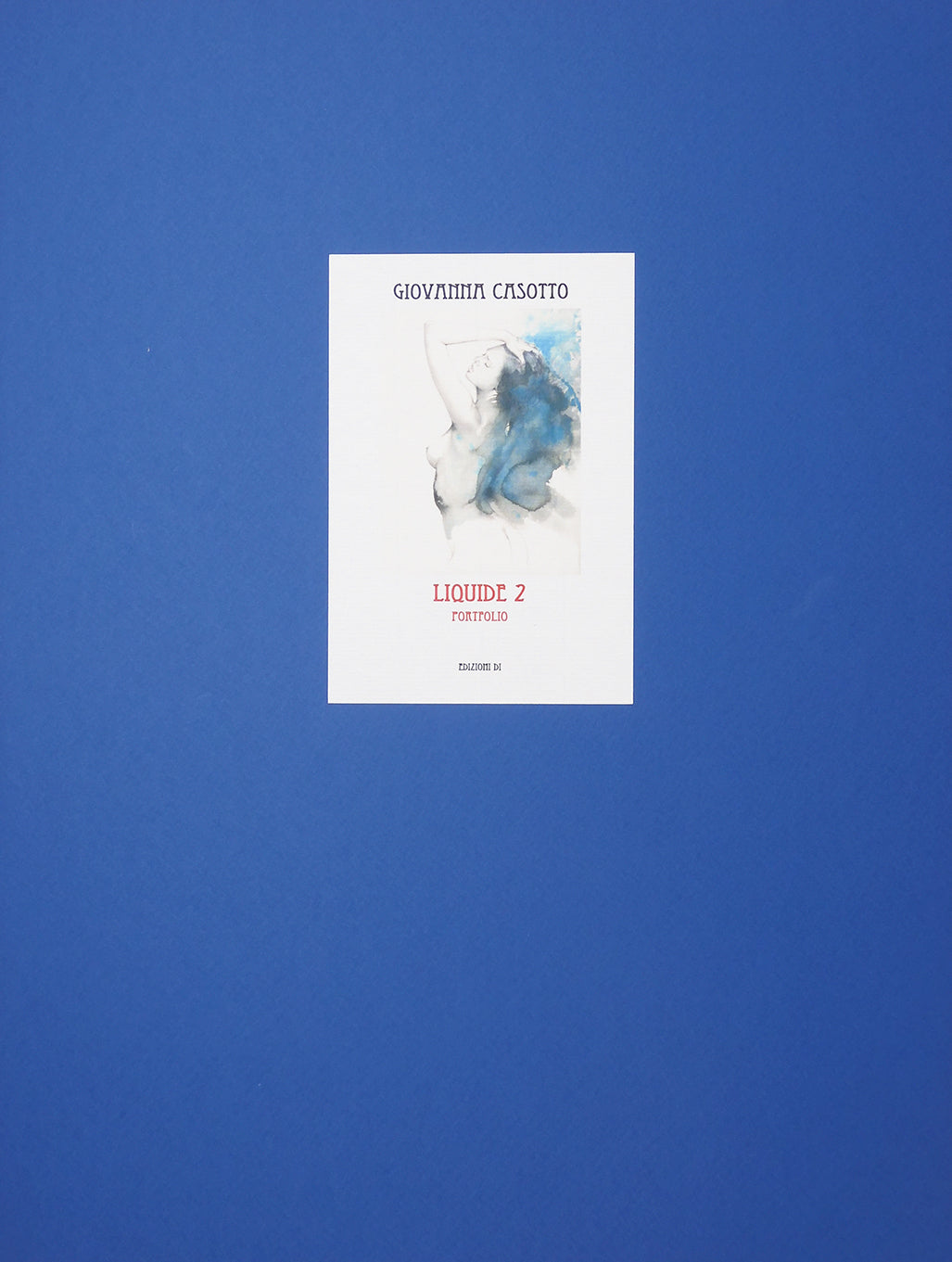 Casotto Portfolio Liquide 2 con disegno originale 11