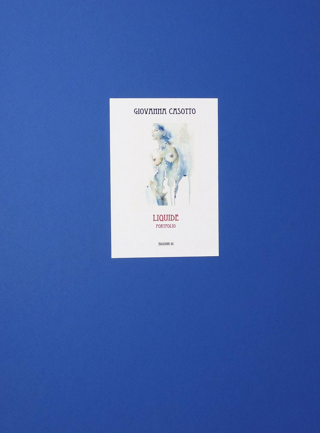 Casotto Portfolio Liquide con Disegno Originale 19