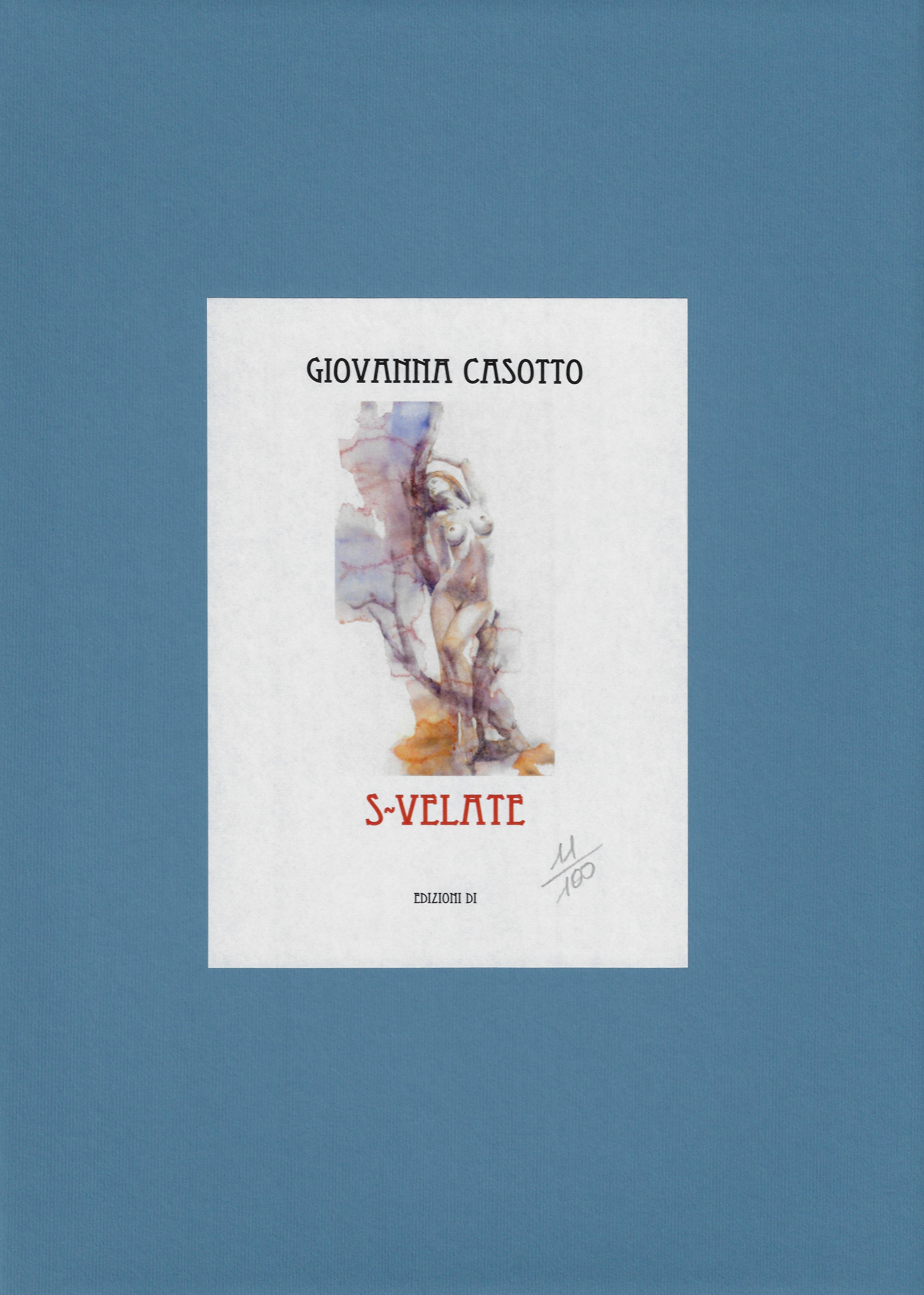 Casotto Portfolio Svelate