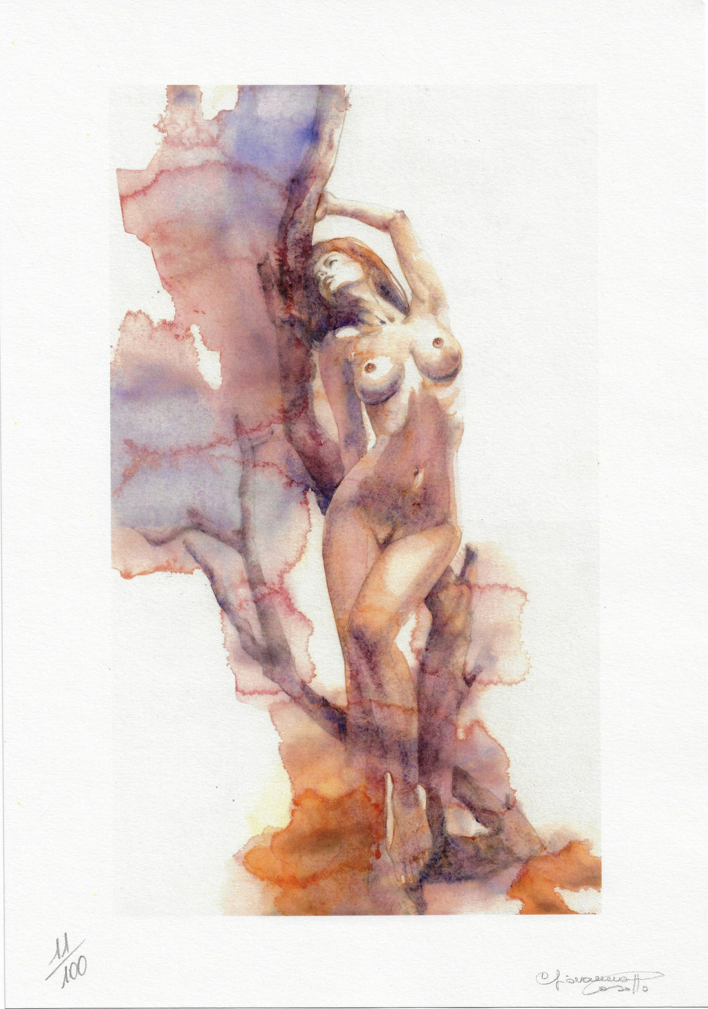 Casotto Portfolio Svelate