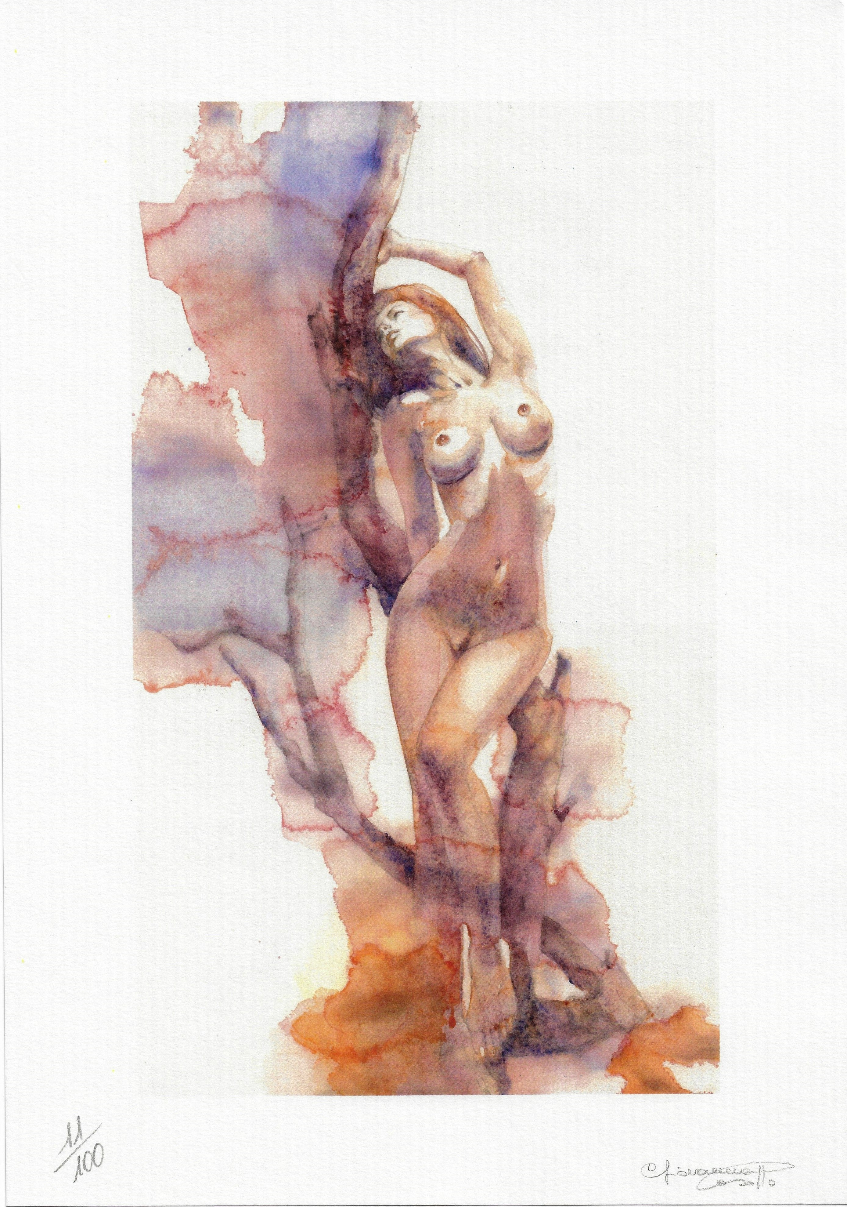 Casotto Portfolio Svelate