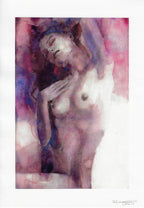 Casotto Portfolio Revealed limited with design 4