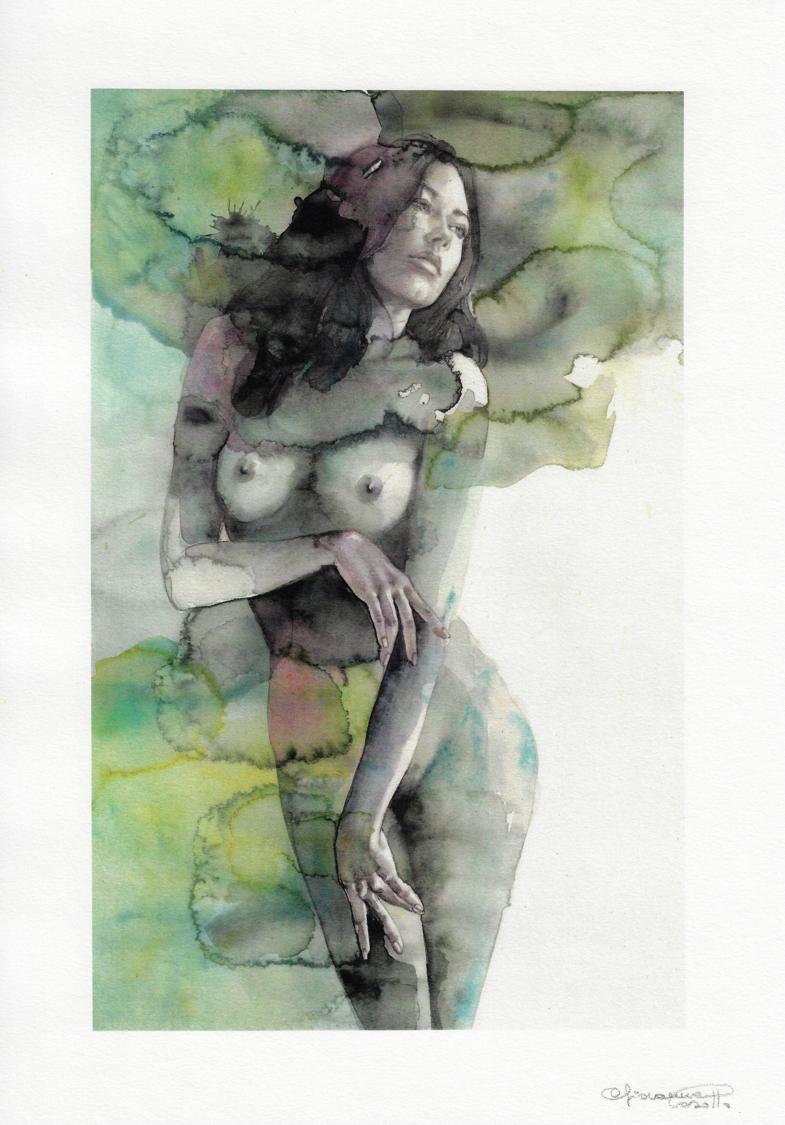 Casotto Portfolio Svelate