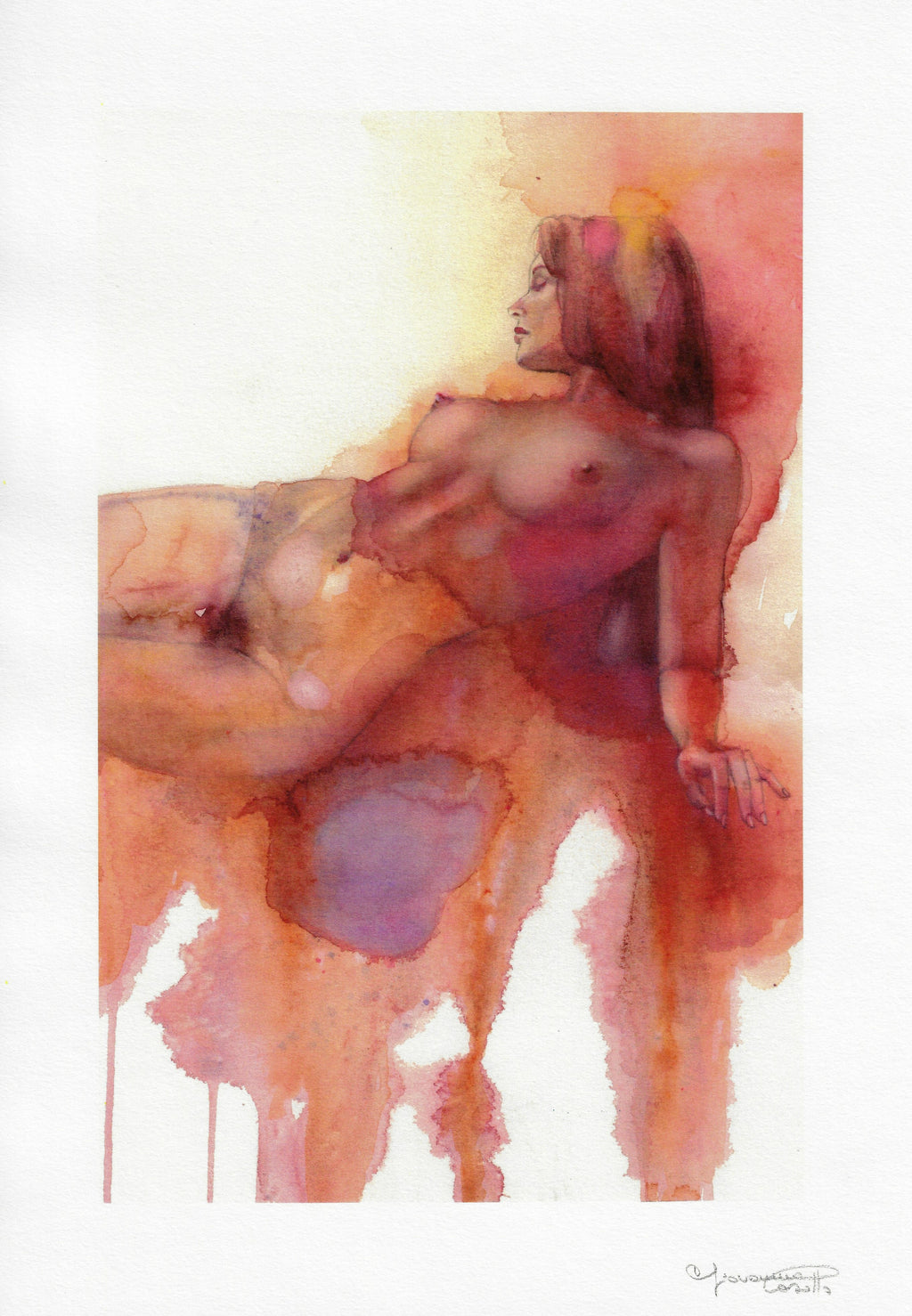 Casotto Portfolio Svelate