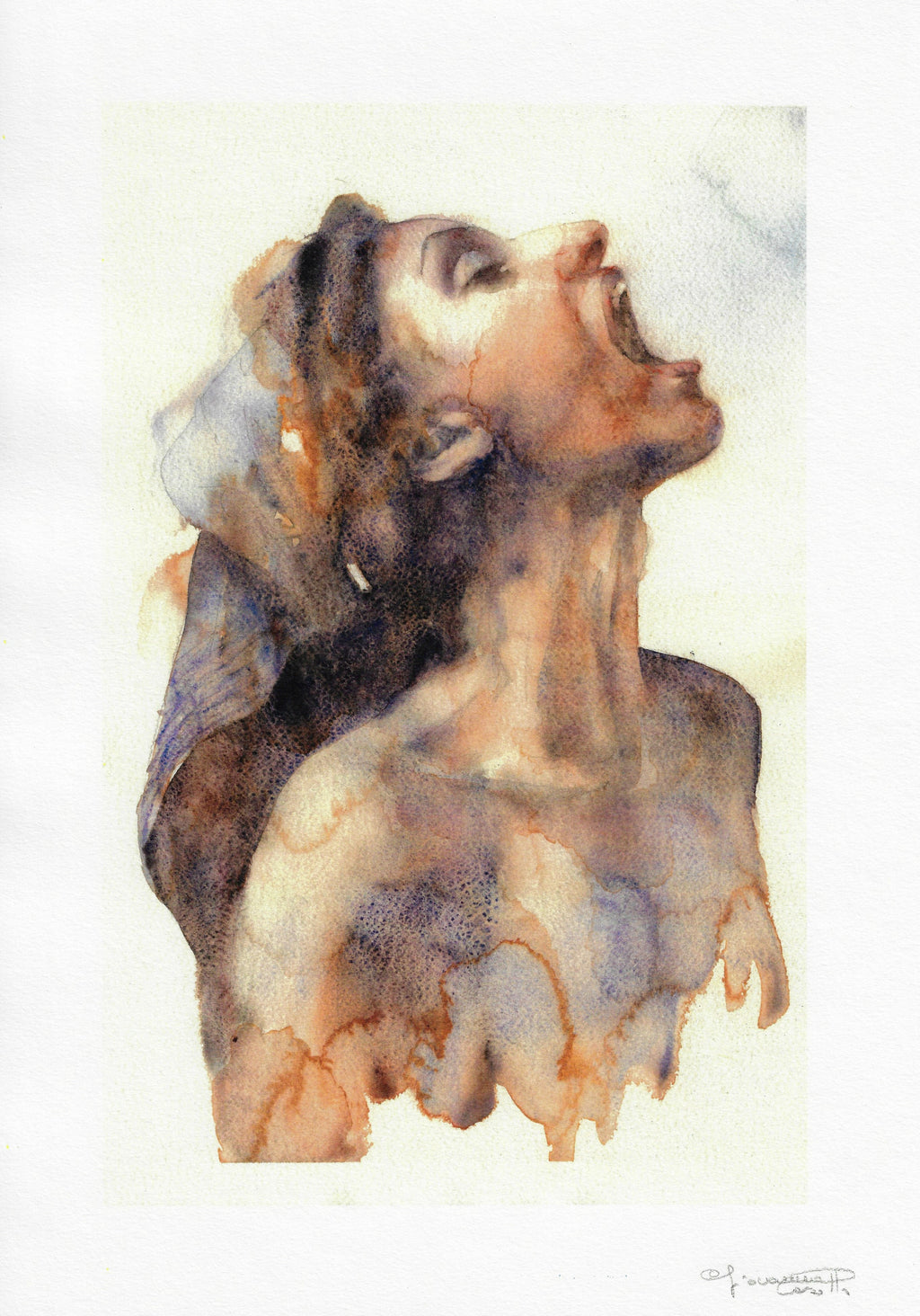 Casotto Portfolio Svelate