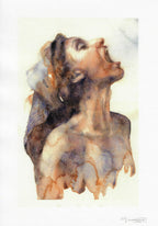 Casotto Portfolio Revealed limited with design 4