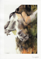 Casotto Portfolio Revealed limited with design 4