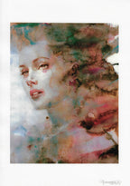 Casotto Portfolio Revealed limited with design 4