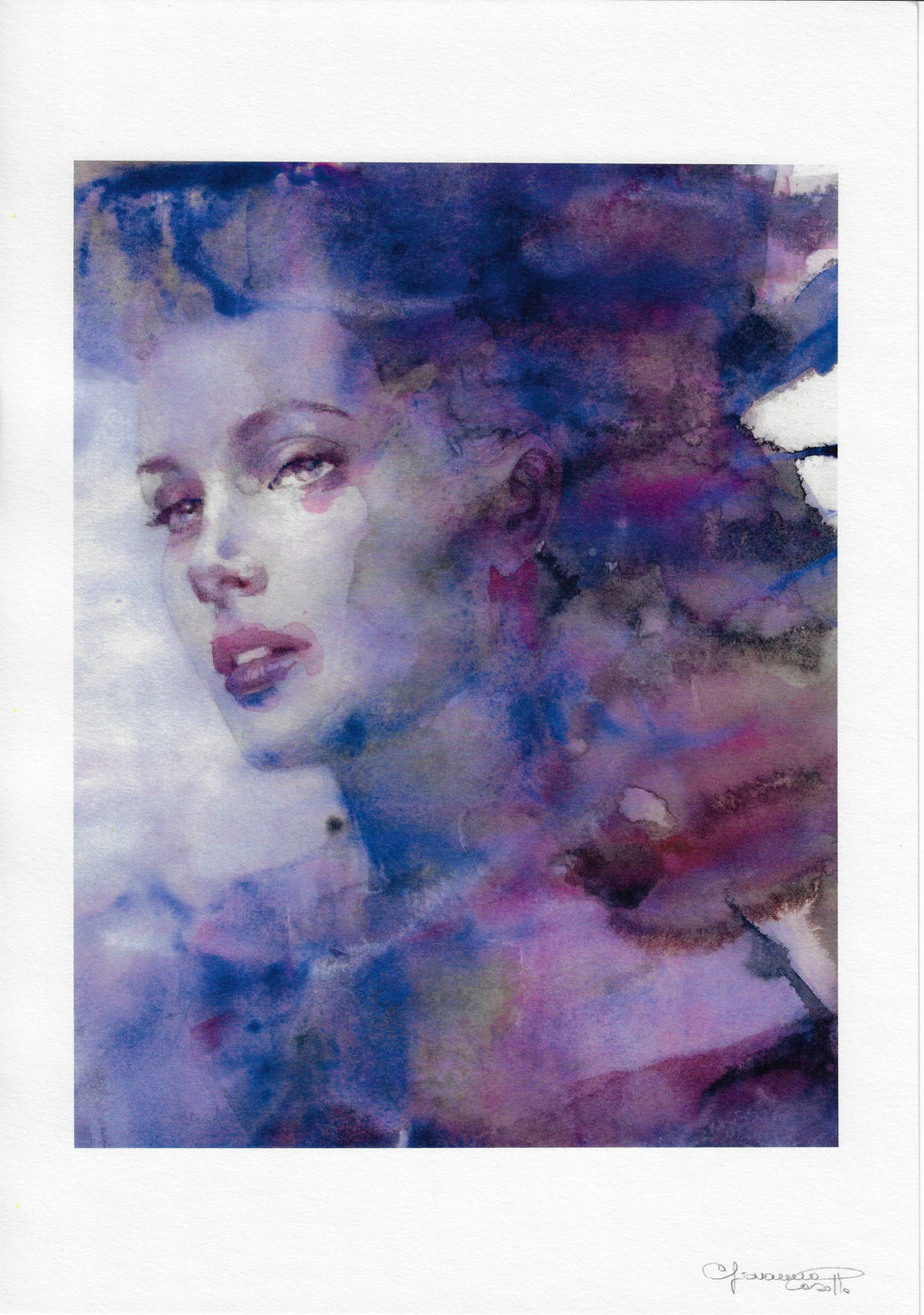 Casotto Portfolio Svelate