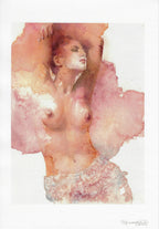 Casotto Portfolio Revealed limited with design 4