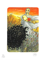 Portfolio Vitesse Numbered Unsigned 