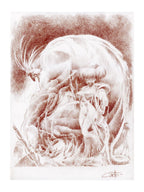 Peace Girls Portfolio