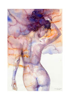 Casotto Portfolio Nebulose