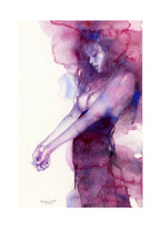 Casotto Portfolio Nebulose