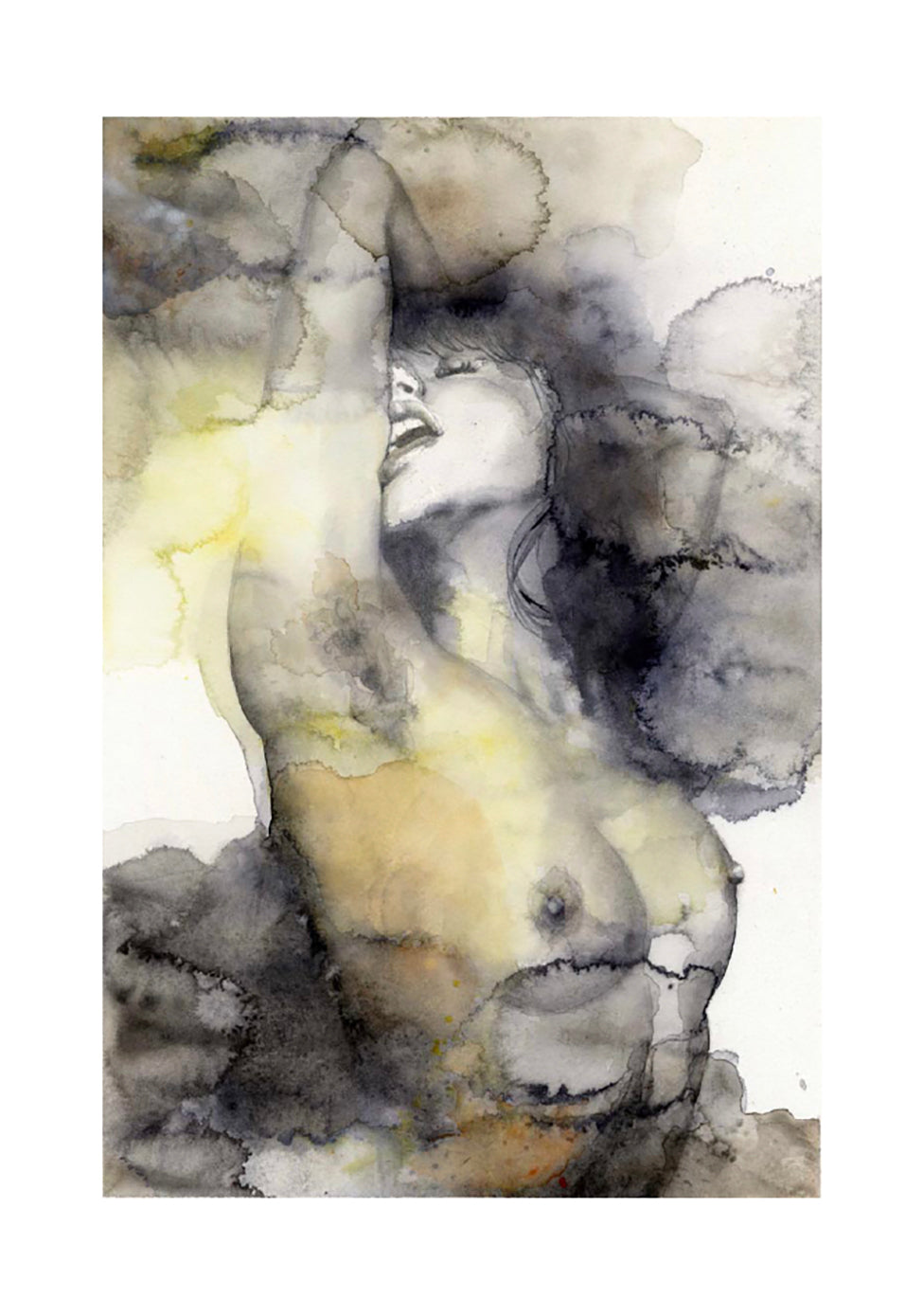 Casotto Portfolio Nebulose