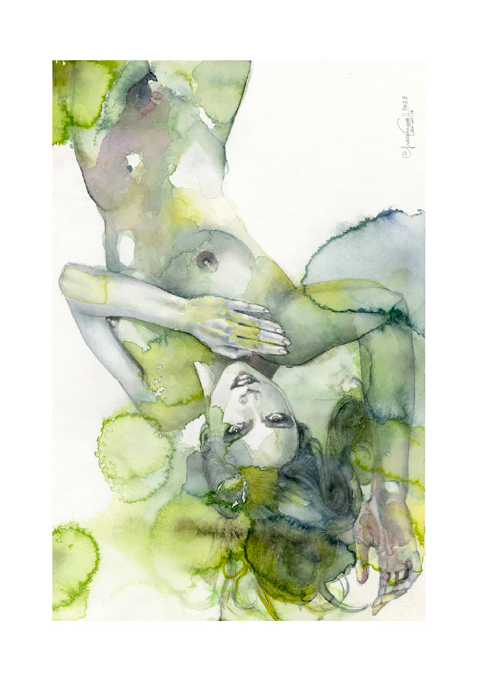 Casotto Portfolio Nebulose con disegno originale 13