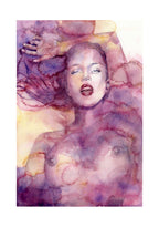 Casotto Portfolio Nebulose