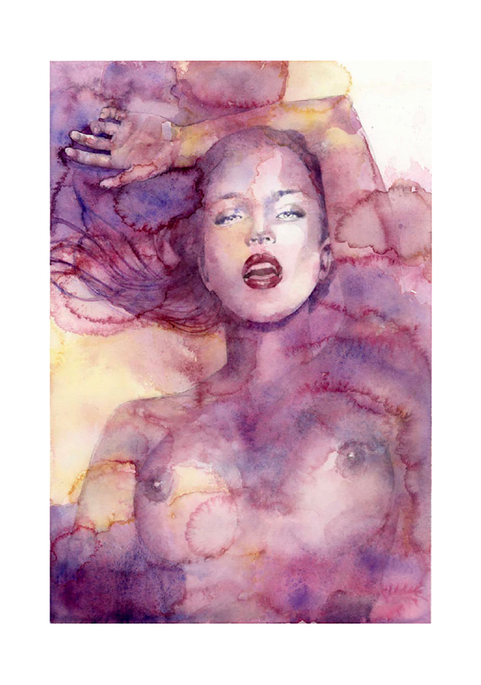 Casotto Portfolio Nebulose con disegno originale 13