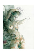 Casotto Portfolio Nebulose