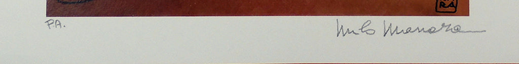 Stampa Firmata Disco