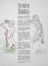 Portfolio Termite Bianca "Nigredo" - P.A.- con disegno originale 23