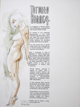 Portfolio Termite Bianca "Nigredo" - P.A.- con disegno originale 24
