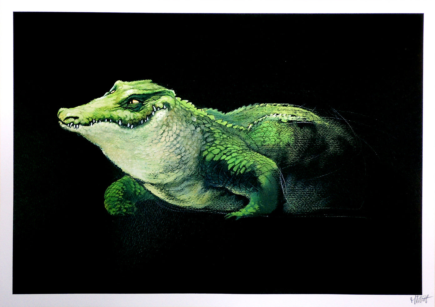 Frezzato Stampa Firmata Il Coccodrillo