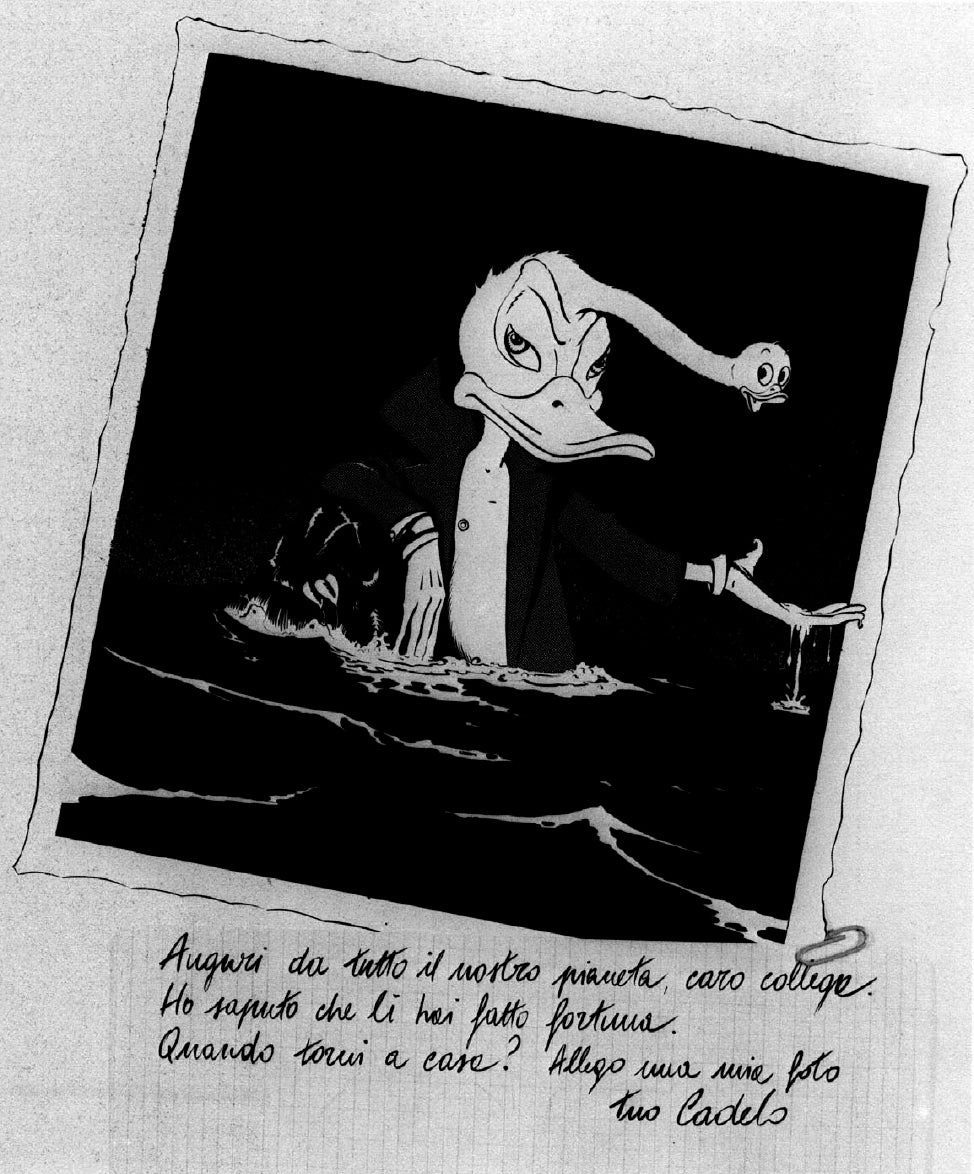 Autori Vari, Portfolio I LOVE PAPERINO