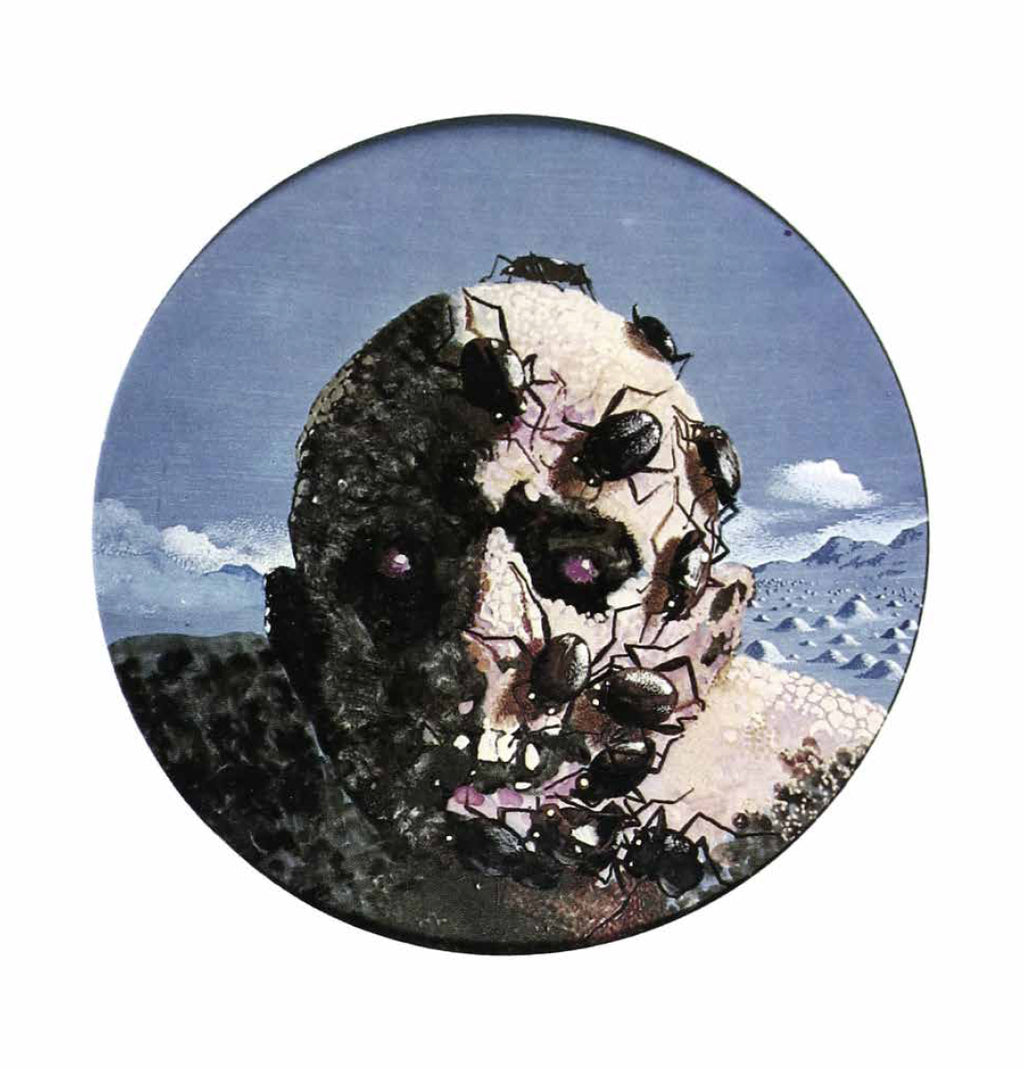 Karel Thole Portfolio Copertine