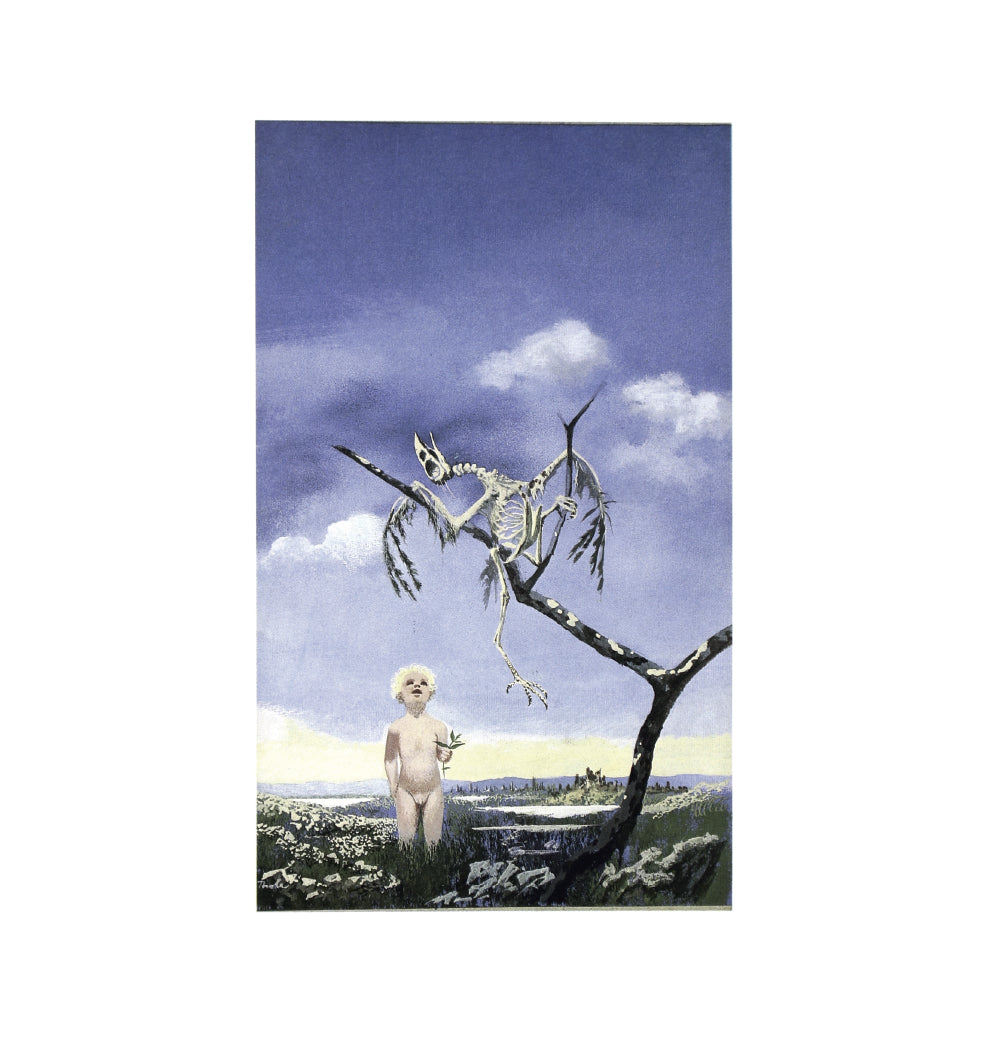 Karel Thole Portfolio Copertine