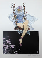 Portfolio Fellini - P.A. -