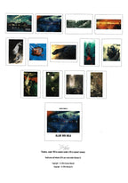 Miorelli Portfolio Portfolio Alle der Walle