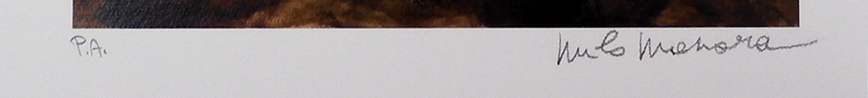 Stampa Firmata Primitivi