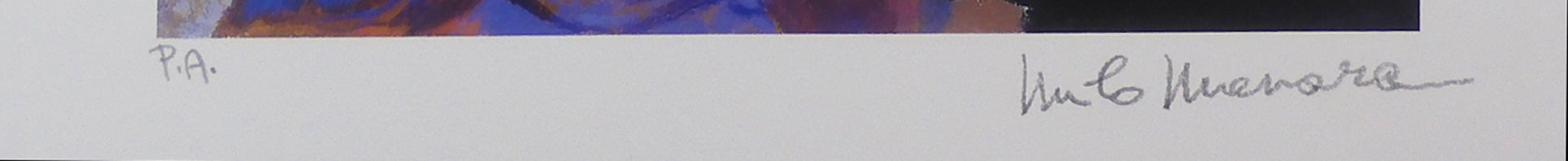 Stampa Firmata Raffaello