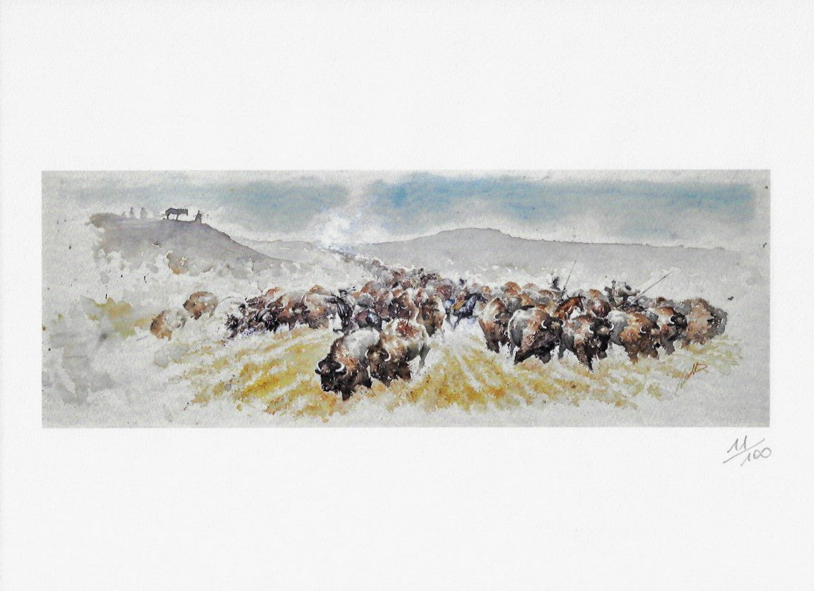 Portfolio Scenari Numerato Non Firmato Piccolo